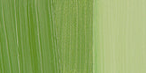 Holbein Artists Oil Colors Cinnabar Green  40Ml - Al Masam Stationery LLC